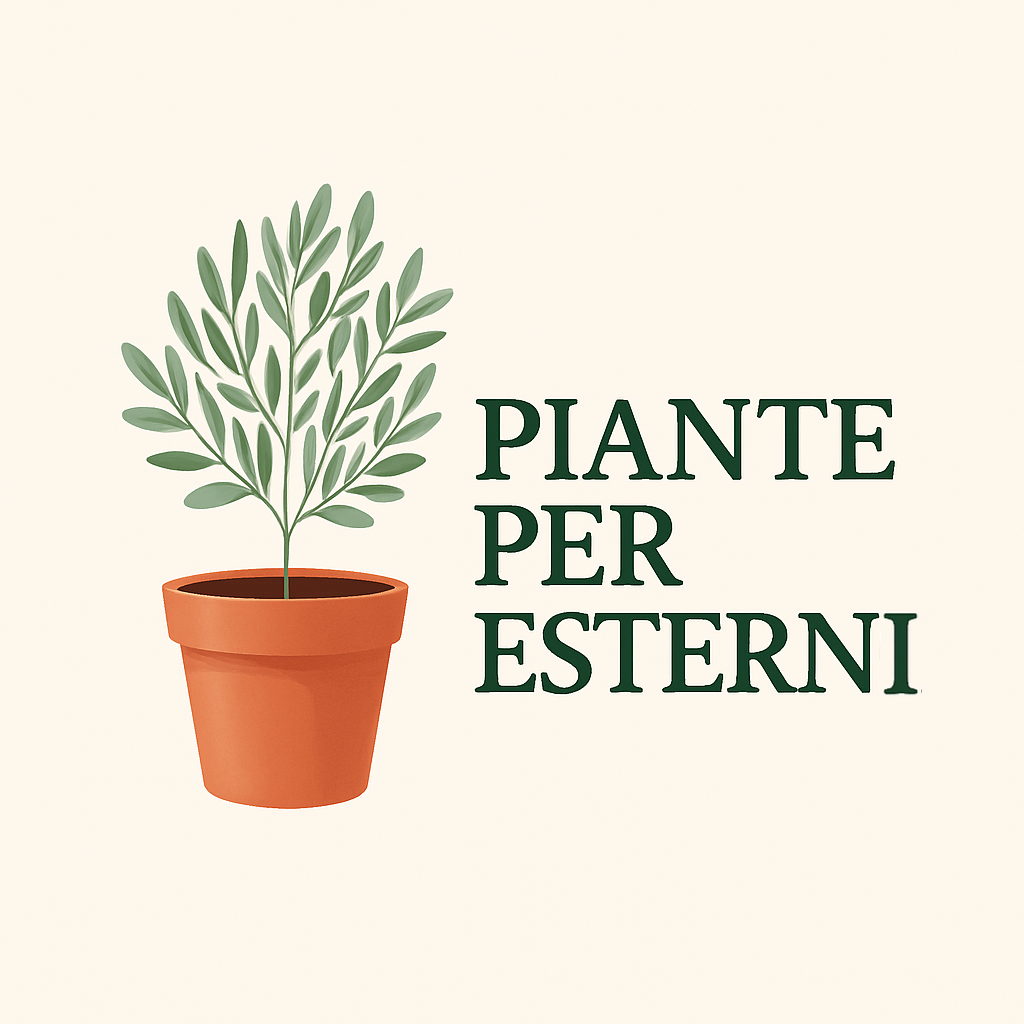 Piante per esterni