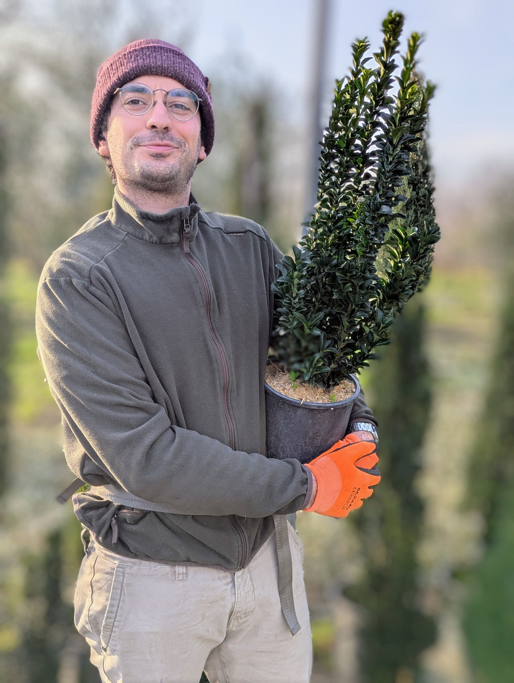 Euonymus japonicus 'Benkomasaki'