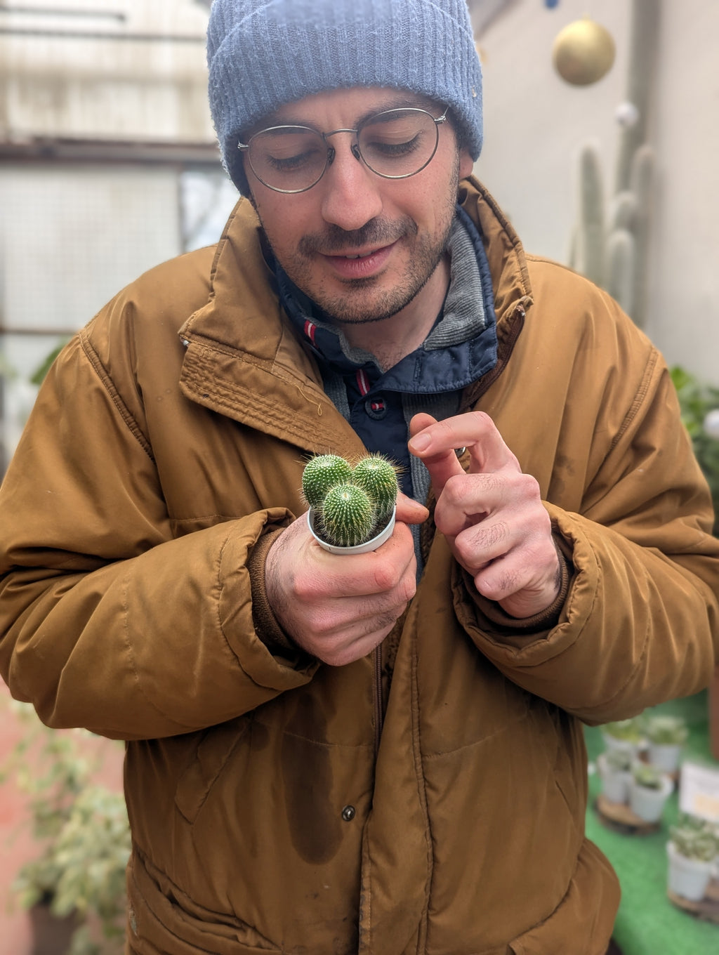 Notocactus Leninghausii f. Subinermis