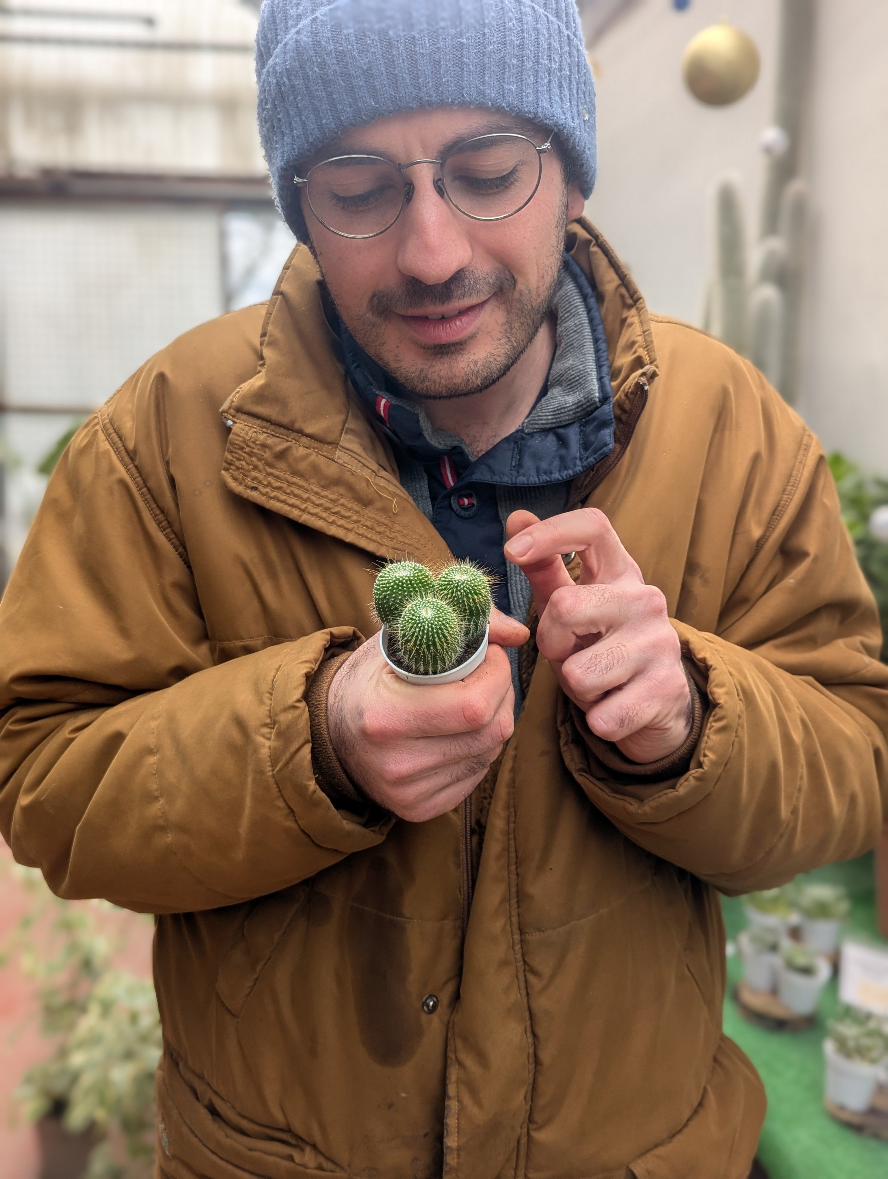 Notocactus Leninghausii f. Subinermis