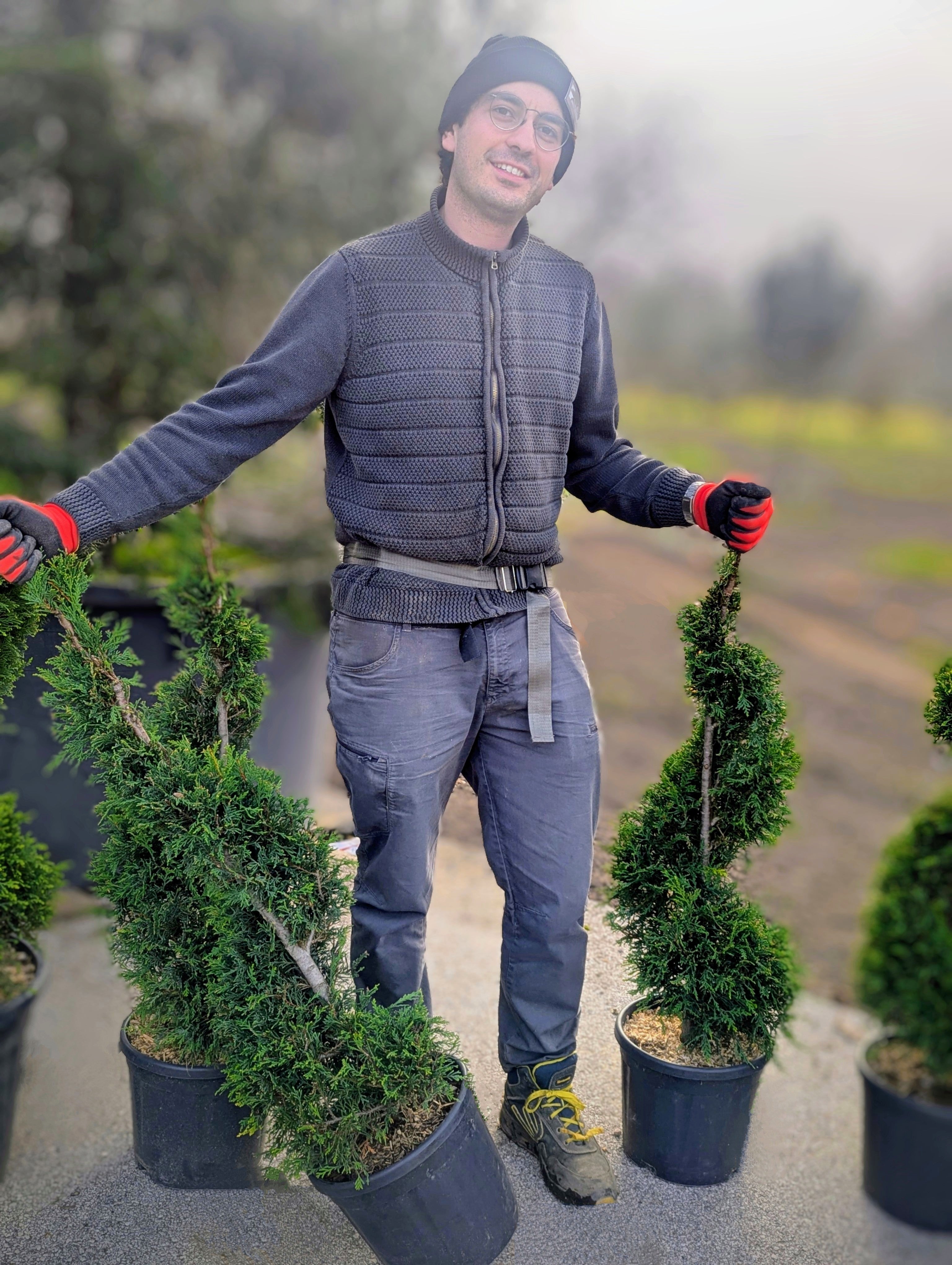 Cupressocyparis Leylandii Forma Spirale