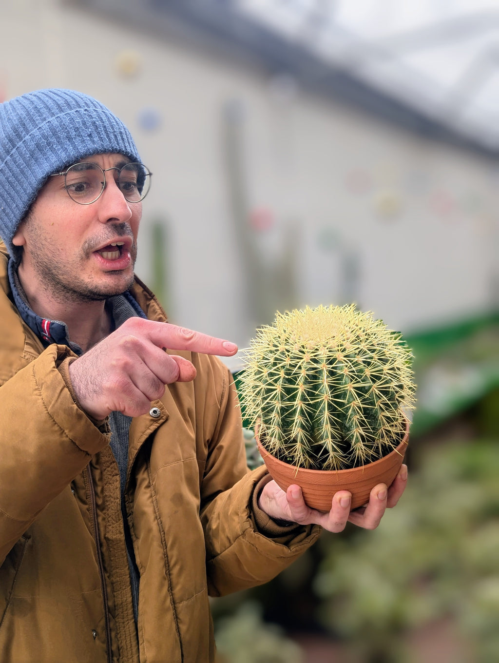 Echinocactus Grusonii